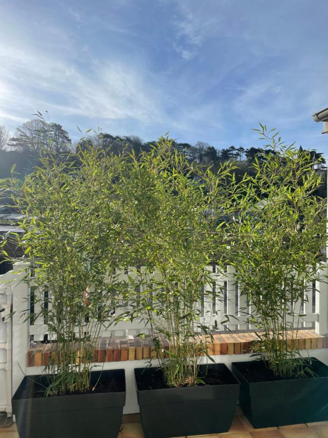 Etretat: Agreable Maison De Ville Екстер'єр фото